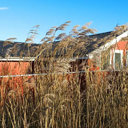 6 Person In Hj Rring *